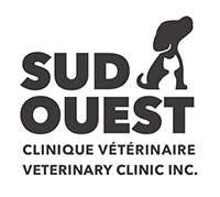 Montreal Veterinary Clinics - Montreal Vets DIRECTORY - Pet Clinics - Animal Clinics - MontrealVet.com