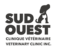 Elkin Seto - Montreal Vets - Dr. Seto - Animal Clinics